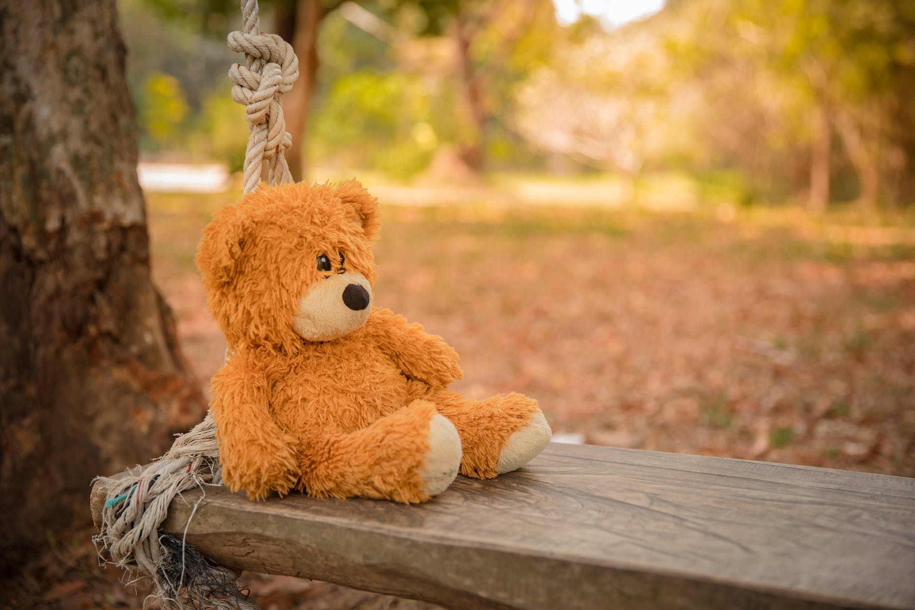 close up photography of teddy bear on wooden swing