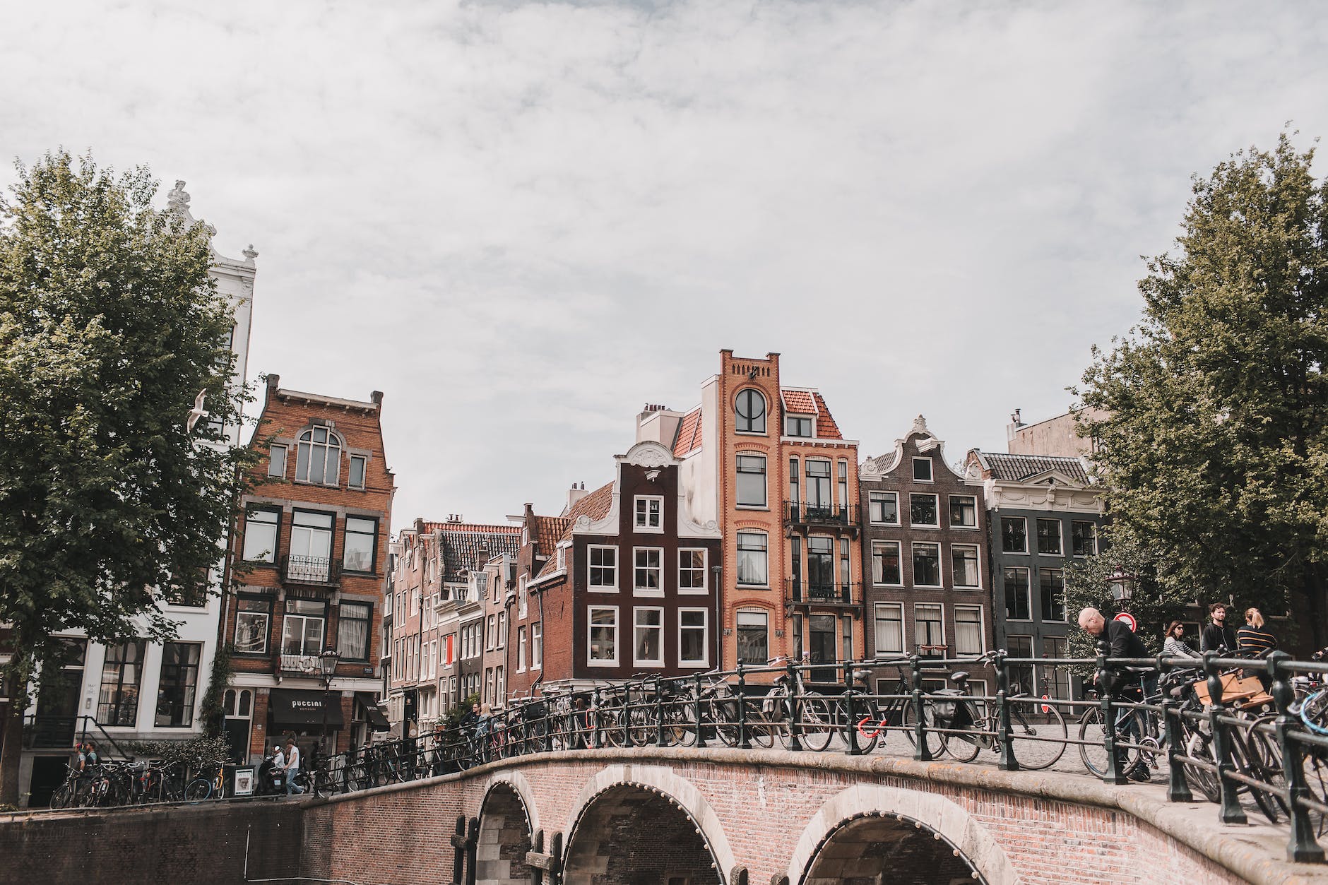 city buildings under the gray sky
